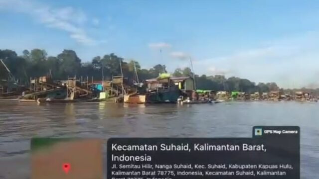 Investigasi: Lanting PETI Berjejer Sepanjang Sungai Suhaid, Ada Oknum Diduga Membekingi?