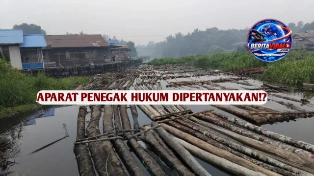 Dugaan Peredaran Kayu Ilegal di Sungai Ambawang Disorot, MHI Kalbar Minta Sawmill dan Rantai Pasok Diperiksa